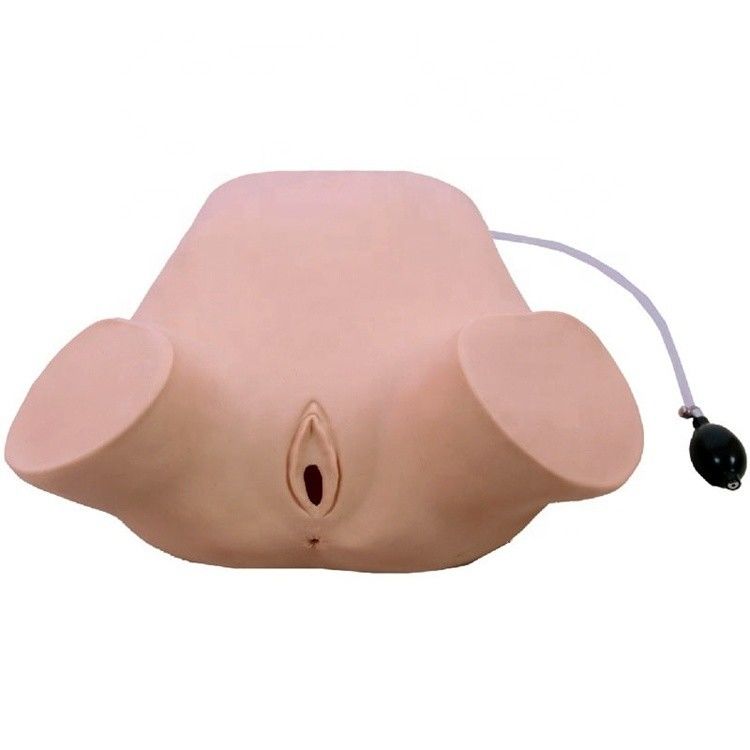 Advanced PVC Multifunktionales Vier Manöver Leopold Modell Rektal- und Vaginaluntersuchung Trainingspuppe