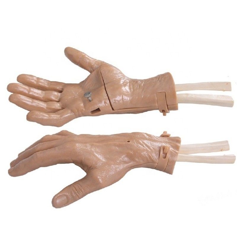 Realistischer Handbewegungs-Hand-Training-Wiederherstellungs-Simulator mit lebhafter Anatomie-Struktur