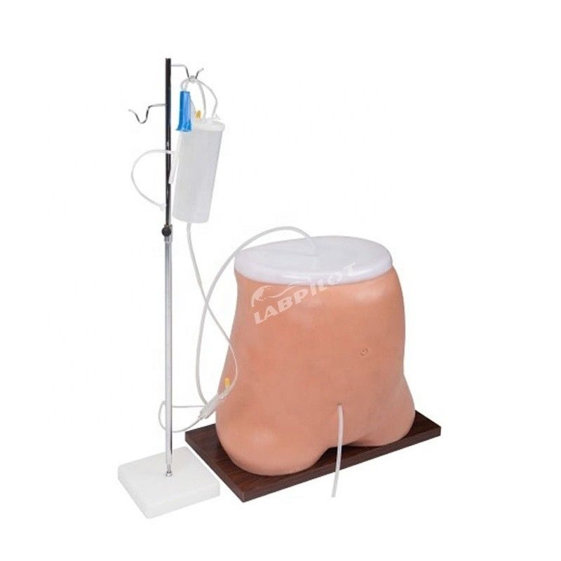 Peritoneale Dialyse-Trainings-Simulatormodell in menschlicher Lebensgröße mit fortgeschrittenem PVC-Material