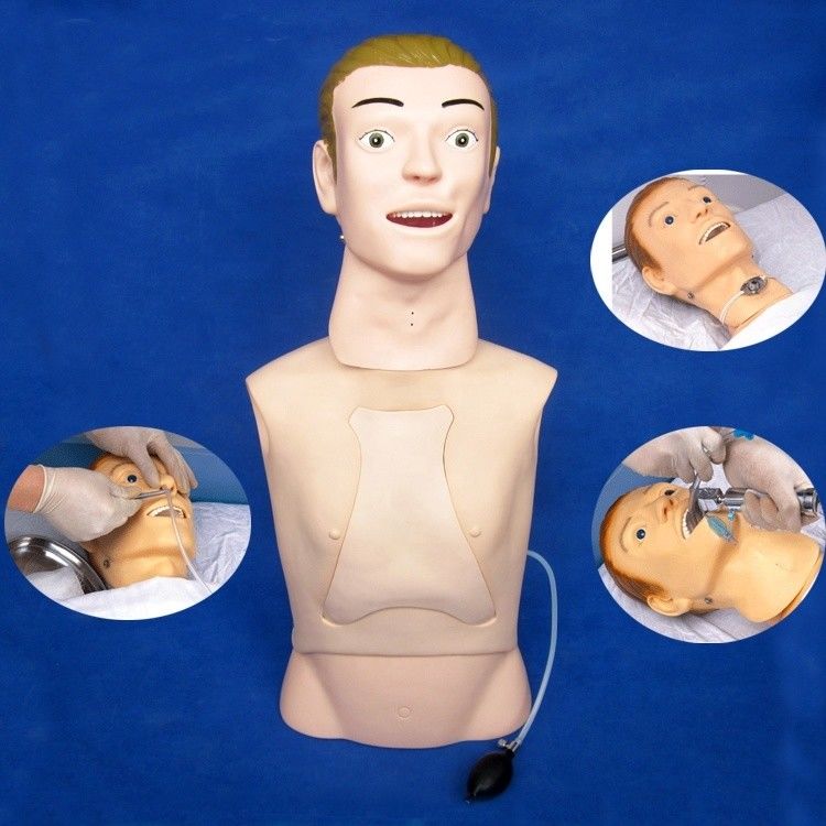 Halbkörper-Mannequin Das ultimative Lehrmodell für nasogastrische Ernährung in Krankenhäusern