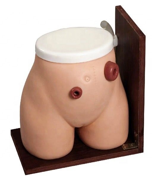 Einläschung Fähigkeiten Lehre Mannequin Das perfekte Trainingswerkzeug für medizinische Fisteln Stoma Pflege
