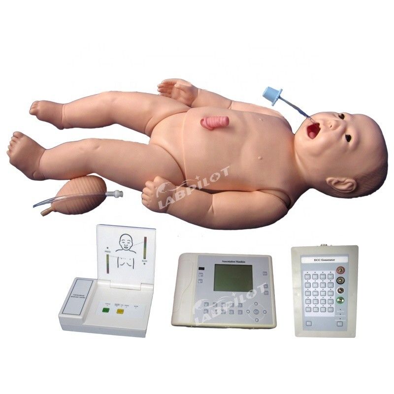 ACLS Neugeborene Krankenschwester Mannequin menschliche Lebensgröße Fach für Medizinische Wissenschaft Lehre