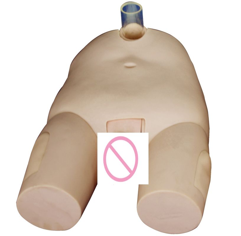 PVC Männlich/Weiblich Blasenbewässerung Training Modell Katheterisierung Fähigkeiten und Punction Operation Simulator