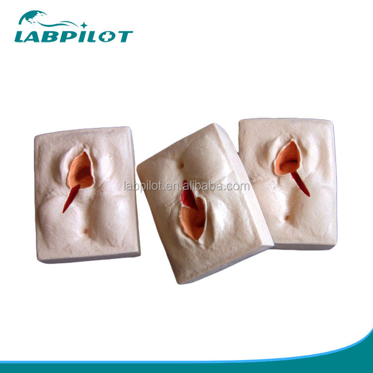 GYN-Fähigkeiten Lehre 3-Set Perineum Suring Simulator und Episiotomie Wunde Suring Modell